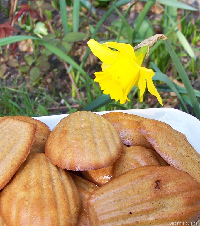 [fausses madeleines orange noisette2[6].jpg]