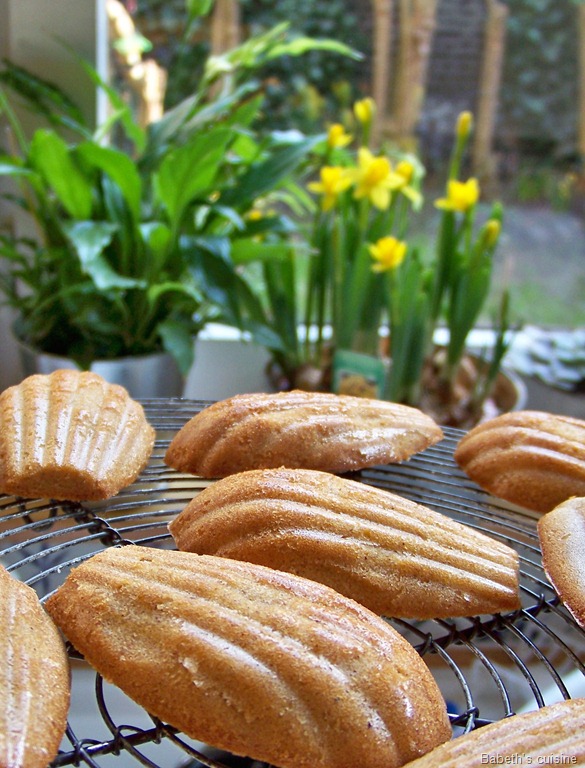 [fausses madeleines orange noisette3[7].jpg]
