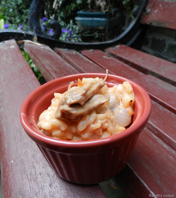 [risotto agneau 2[9].jpg]