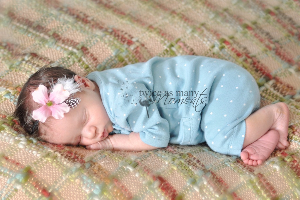 [DSC_2886_edit_wm[5].jpg]