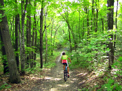 Heading down the "Toot" hill.