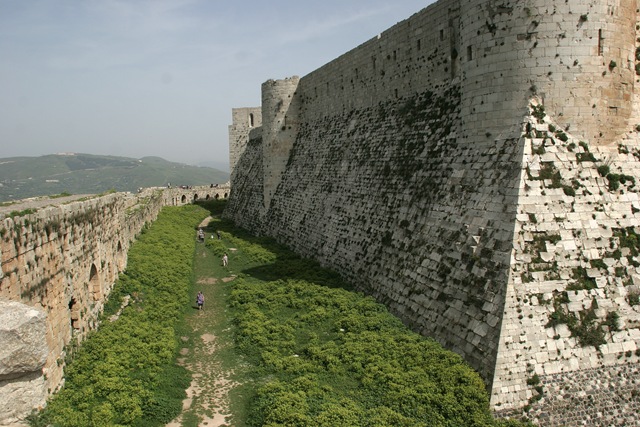 [IMG_20443.jpg]