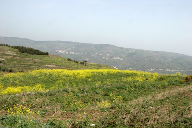 [IMG_20733.jpg]