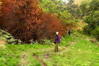 P3150008.JPG