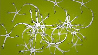 grafik-nuri-yebra-redes-cerebro-01.jpg