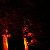 Sonstiges: Illumina 2008
