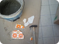 DSCN2594 DSCN2594