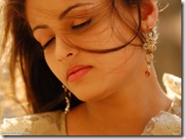 Sneha Ullal Hot gallery Sneha Ullal Hot gallery
