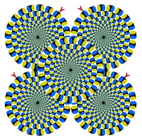 [Illusions[5].jpg]