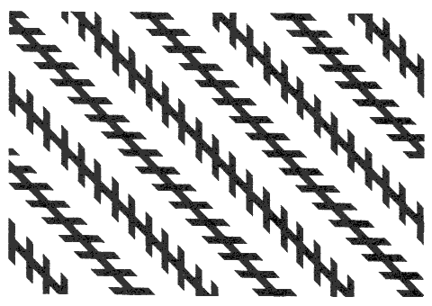 [Zollner_illusion[5].gif]