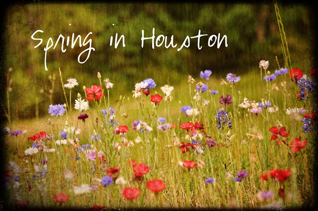 [Spring in Houston[4].jpg]
