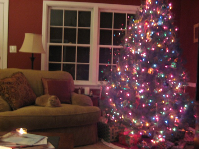 [Christmas tree6[3].jpg]