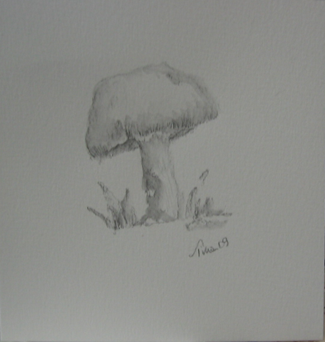 [mushroom[6].png]