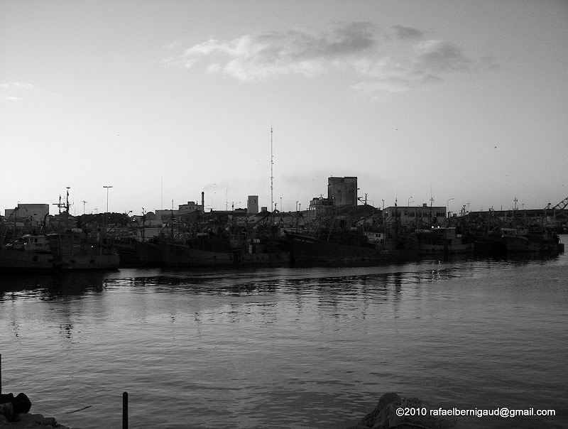 100_1036.JPG