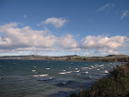 Lake Taupo