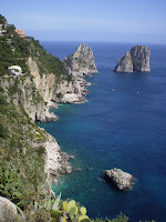 AMALFI - PORTRAIT CLIFFS & CACTUS.