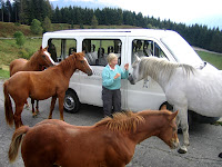 Friendly locals.