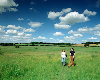 Walking in Hampshire
