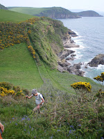 Coastal views
