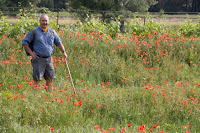 Eric in a poppy field.