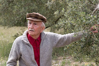 A local explanation of olive growing.