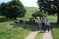 On the trail.