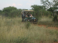 Safari ride