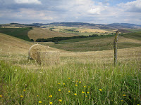 Fields