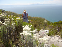 Coastal Walking