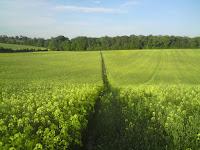 Hampshire Path