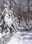 IMG_5870.JPG