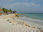 ph120896934.jpg