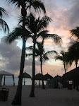 ph111094584.jpg