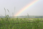 IMG_9079.jpg