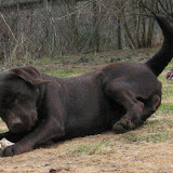 IMG_0324.JPG