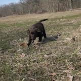 IMG_0199.JPG