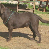 IMG_0605.JPG