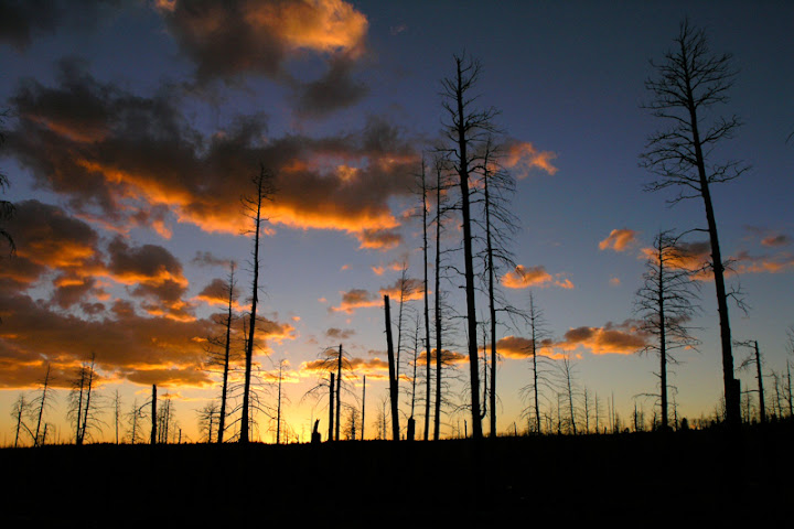 PA020407-Edit.jpg