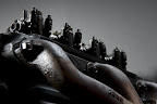 Manifold and Cylinder Head