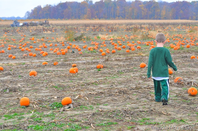 [pumpkin patch, awana 088[6].jpg]