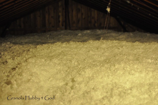 [insulation day 018[4].jpg]