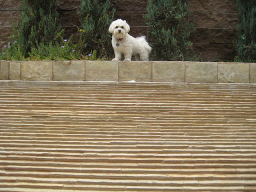 Me up on the fountain Ruffles on high