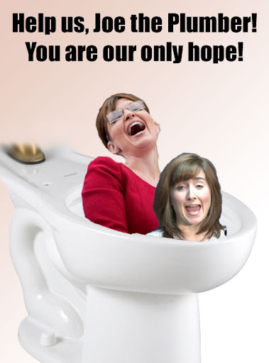 sarah and meg flushing themselves down a toilet