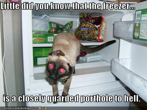 Little did you know that the freezer...is a closely guarded porthole to hell