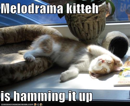 Melodrama kitteh is hamming it up