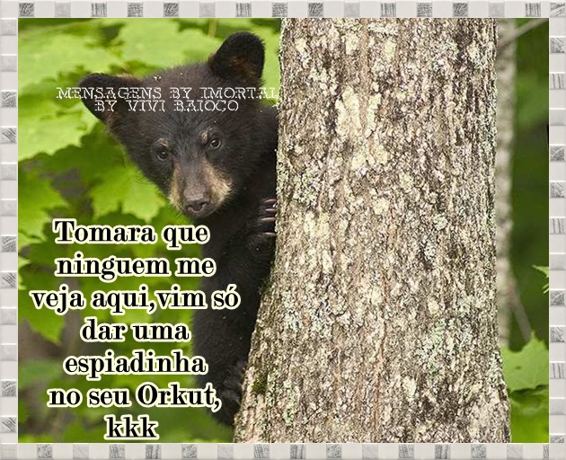 orkutte