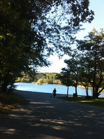 [Jamaica Pond (2)[2].jpg]