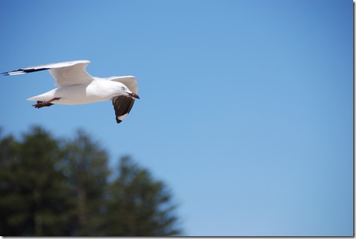DSC_0824 DSC_0824