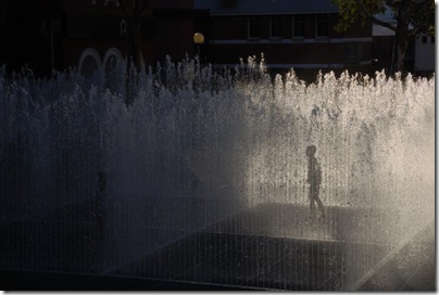 DSC_0492 DSC_0492
