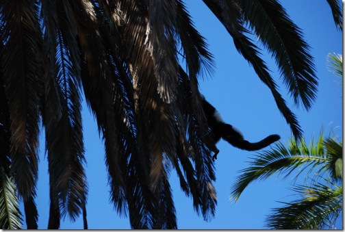 DSC_1046 DSC_1046